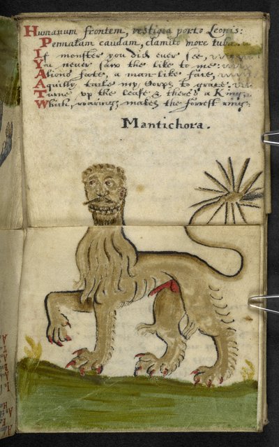 Legg til MS 57312 f11 spillbok (blekk og farge på pergament) av English School