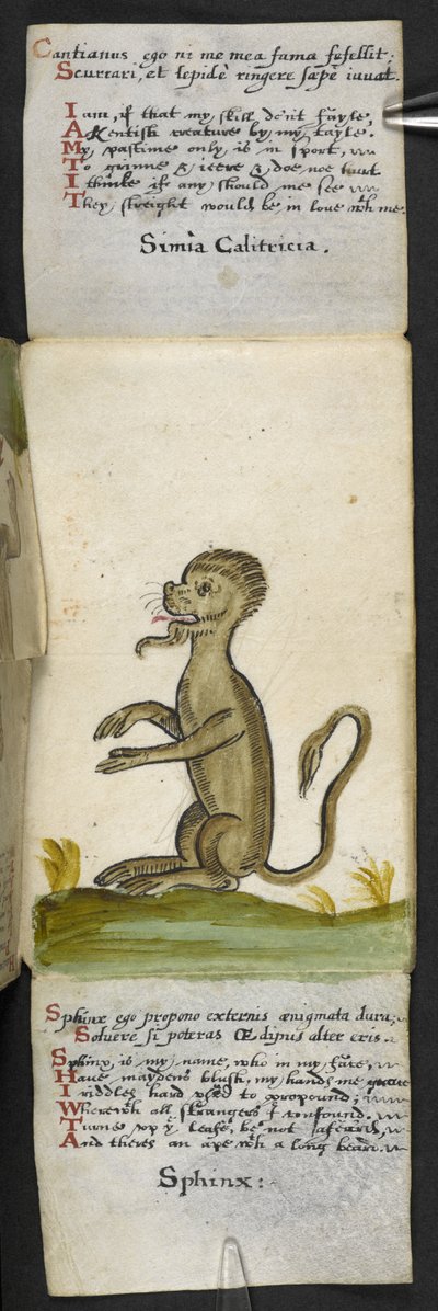 Legg til MS 57312 f.14 spillbok (blekk og farge på vellum) av English School
