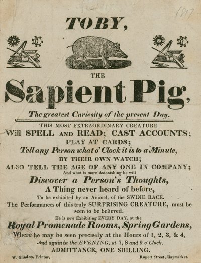 Annonsere for Toby the Sapient Pig, dagens største nysgjerrighet av English School