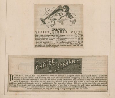 Werbungen von English School