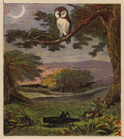 Aesop