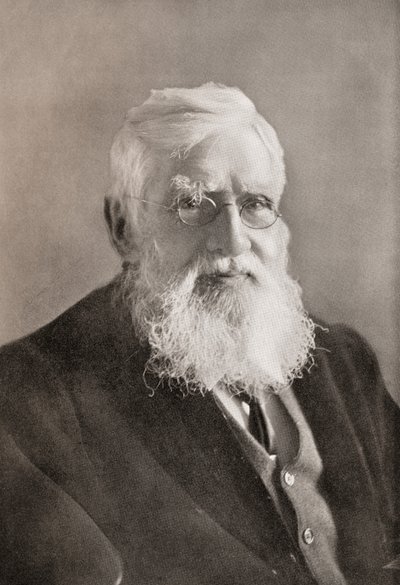 Alfred Russel Wallace, fra «Året» av English School