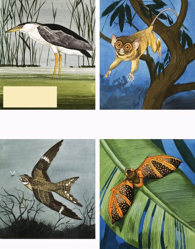 Alle slags nattskapninger av English School