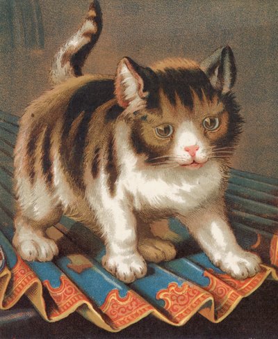En ambisiøs puss (farge litho) av English School