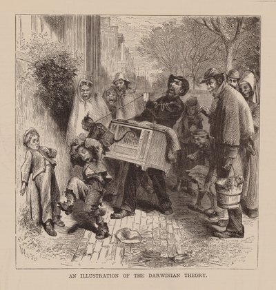 En illustrasjon av den darwinistiske teorien (gravering) av English School