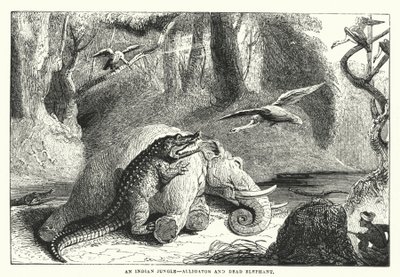 En indisk jungel, alligator og død elefant (gravering) av English School