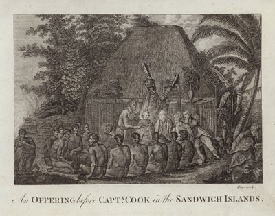 Et tilbud før Captain Cook av English School