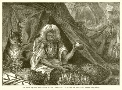 An Old Squaw Pounding Wild Cherries: En scene i Red River Country av English School