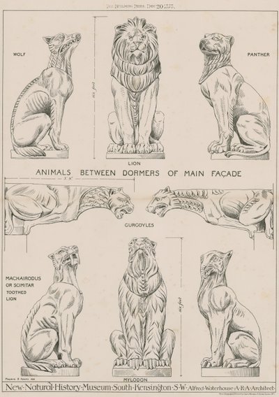 Dyr mellom kvistene på hovedfasaden til det nye Natural History Museum, South Kensington av English School