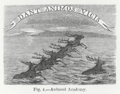 Animosi Academy (gravering) av English School