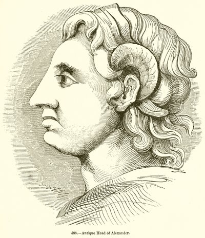 Antik leder av Alexander av English School