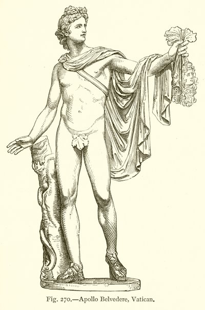 Apollo Belvedere, Vatikanet av English School
