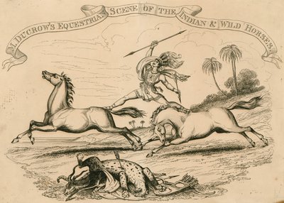 Astleys Amphitheatre, London - M Ducrows ridescene av Indian and Wild Horses av English School