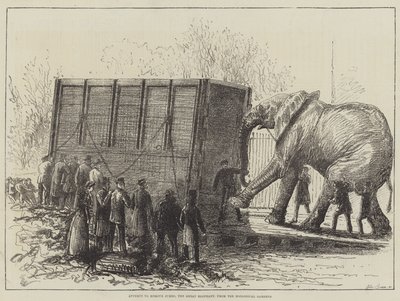 Forsøk på å fjerne Jumbo, den store elefanten, fra Zoological Gardens (litho) av English School