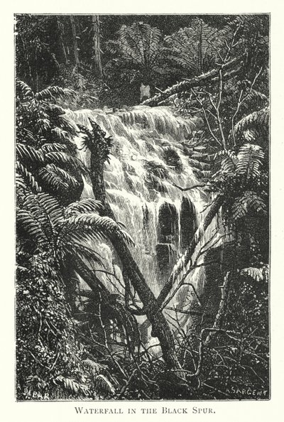 Australia: Foss i Black Spur (gravering) av English School