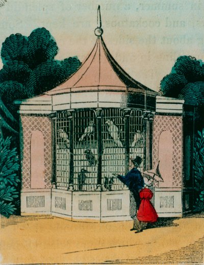 Voliere for papegøyer og kakaduer i London zoo. 1840-årene av English School