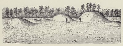 Avondale Mounds, Washington County, Mississippi (litografi) av English School