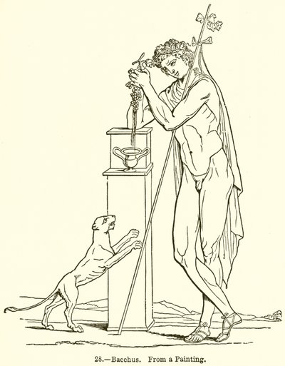 Bacchus av English School