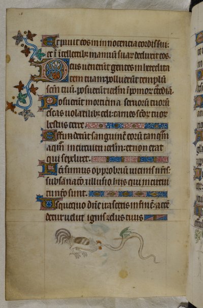 Bas-de-page scene av en hane og en bevinget slange som kjemper, med en dekorert initial 'D'(eus), Psalter ('The Queen Mary Psalter'), Royal MS 2 B VII, f.187v, ca.1310- 20 (vellum) av English School