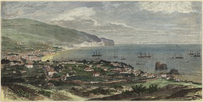 Bay og byen Funchal av English School