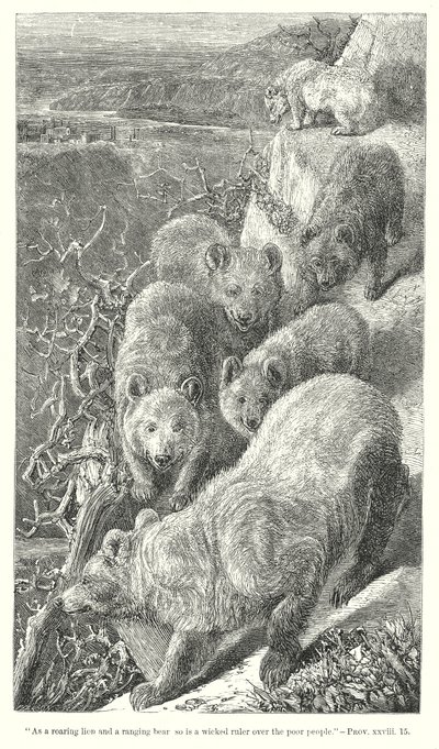 Bjørner (gravering) av English School