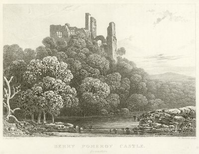 Berry Pomeroy Castle, Devonshire (gravering) av English School