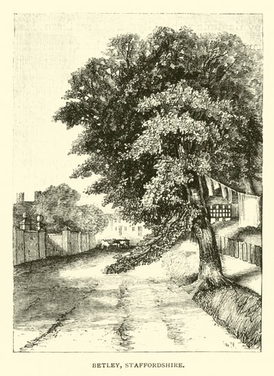 Betley, Staffordshire von English School