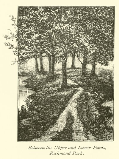 Mellom øvre og nedre dammene, Richmond Park av English School