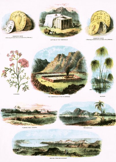 Bibelske illustrasjoner av English School