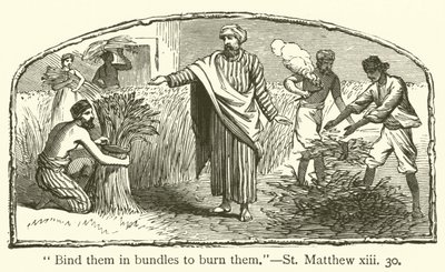 "Bind dem i bunter for å brenne dem", St Matthew, xiii, 30 (gravering) av English School