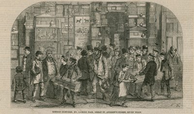 Fuglemesse, Great St Andrews Street, Seven Dials, London av English School