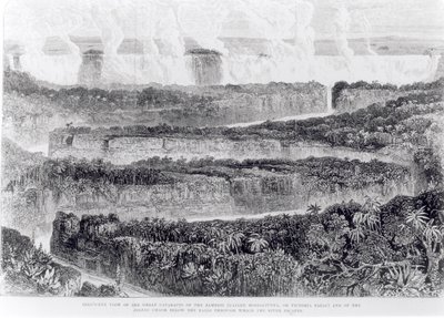 Fugleperspektiv av de store grå stærene i Zambesi (Victoria Falls) fra fortelling om en utstilling til Zambesi og dens sideelver, utgitt 1865 av English School