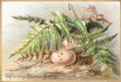 Fugleegg, julekort av English School
