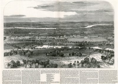 Birdseye View of Crystal Palace and Surrounding Country, Great Exhibition, 1851 av English School
