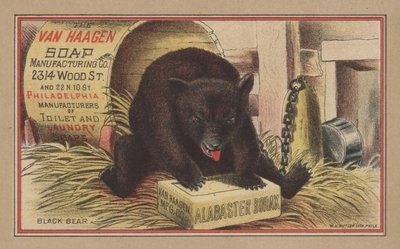 Black Bear (farge litho) av English School