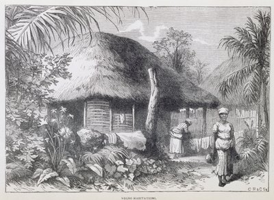 Black Habitations, fra "Santo Domingo Past and Present" av Samuel Hazard, pub. i 1873 (gravering) av English School