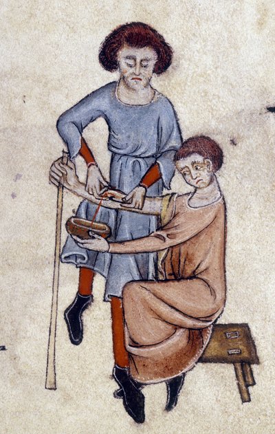 Blood Letting, fra Luttrell Psalter, ca. 1325-35 (vellum) av English School