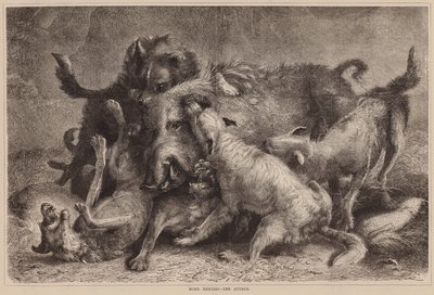 Villsvinjakt, Angrepet (gravering) av English School