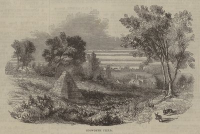 Bosworth Field av English School