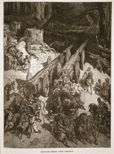 Tar med Cedar fra Libanon av English School