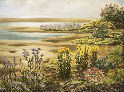 Britiske saltmyrblomster av English School