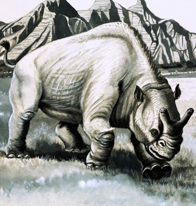 Brontotherium fra oligocen-alderen av English School