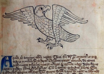 CCA-LitMs/D/10 fol. 13r Eagle, fra Bestiary av English School