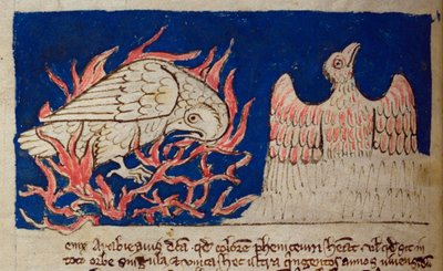 CCA-LitMs/D/10 fol. 17v Pheonix, fra Bestiary av English School