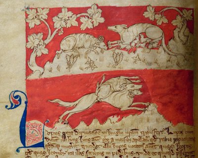 CCA-LitMs/D/10 fol. 4v Wolf, fra Bestiary av English School