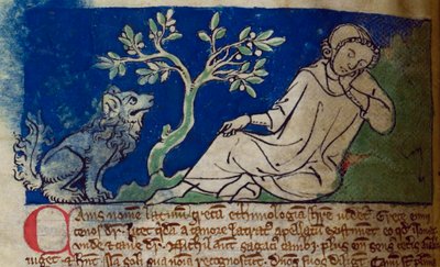 CCA-LitMs/D/10 fol. 5v Dog, fra Bestiary av English School