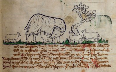 CCA-LitMs/D/10 fol. 8r Sau, fra Bestiary av English School