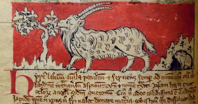 CCA-LitMs/D/10 fol. 8v Geit, fra Bestiary av English School