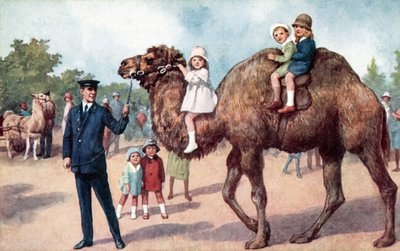 Kamel som bærer barn, London Zoo (farge litho) av English School