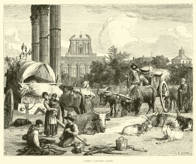 Campo Vaccino, Roma av English School
